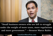 Marco Rubio on small businesses